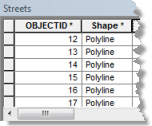 An excerpt from the Streets attribute table