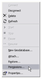 Permissions from the database server context menu