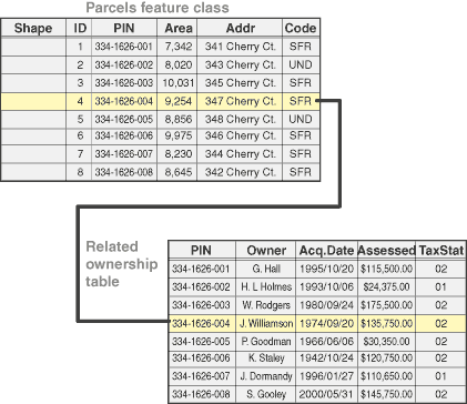 Feature and attribute storage in tables