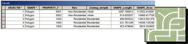 Example polygon feature class business table