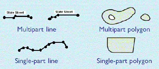Single-part and multipart lines and polygons