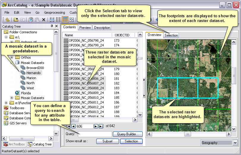 Exploring a mosaic dataset in ArcCatalog