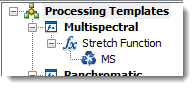 Multispectral processing template