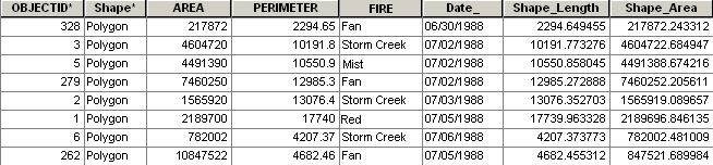 A feature class table for time visualization