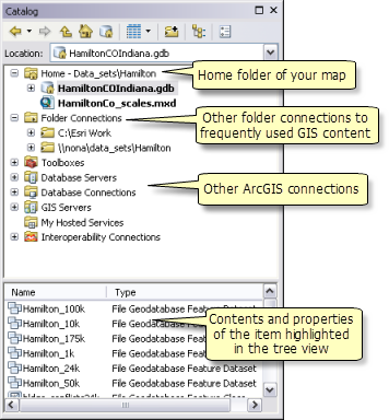 Elements of the tree view in the Catalog window