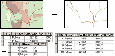 Roads overlay with vegetation