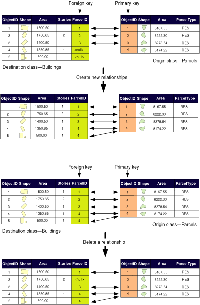 Creating and deleting relationships (keys)