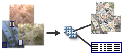 Mosaic dataset diagram