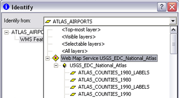 WMS service layer that supports identifying, since the sublayers are listed in the Identify from list