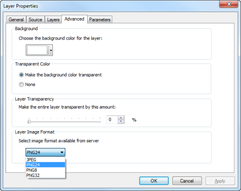 The Advanced tab on the Layer Properties dialog box for ArcGIS map service layers