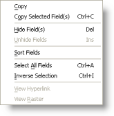 The context menu for attribute operations in the Identify window