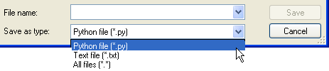 Python window Save As