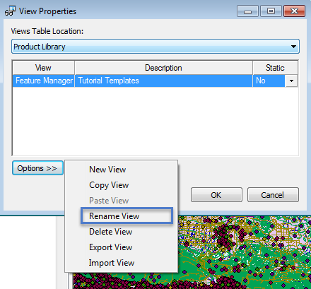 View Properties options—rename view