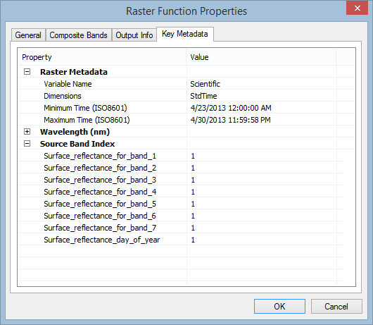 Multidimensional mosaic dataset Raster Function Properties