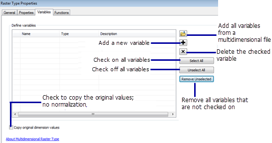 Variables tab of Raster Type Properties