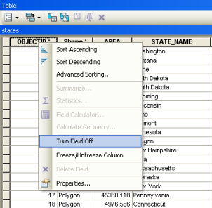 The Turn Field Off context menu in the Attribute view