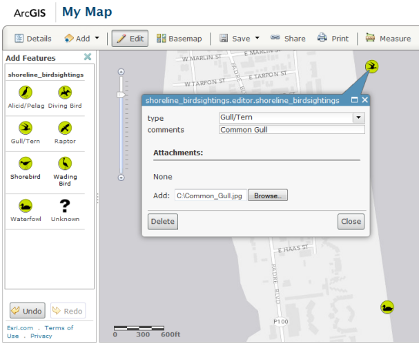 Adding a bird sighting to the database using