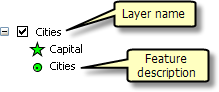 You can change the layer name and feature description for a layer.