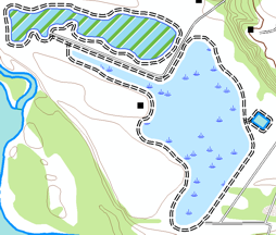 With Size, X step, and Y step selected and the Geometry option unchecked you will only resize the markers and not the polygon when you use the Resize tool.