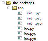 The foo module should be installed or copied into the site-packages directory.
