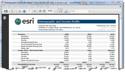 Demographic and Income Report