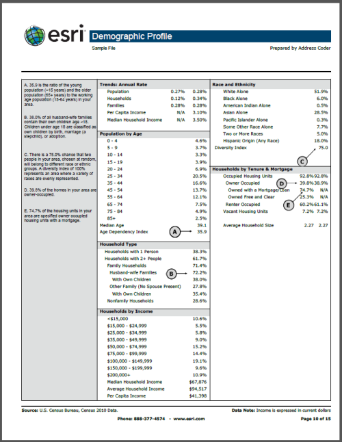 Example of a Demographic Profile report