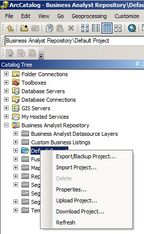 Business Analyst Server upload project