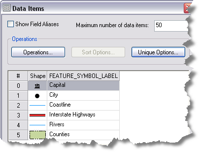 The Data Items dialog box after setting unique options