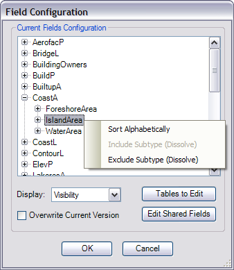 Example of a subtype with Include Subtype (Dissolve) selected