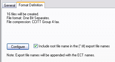 Format Definition tab