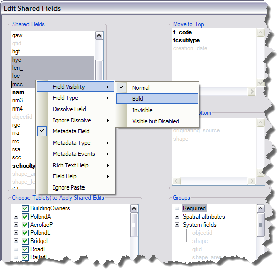 Edit Shared Fields dialog box with multiple fields selected and set to Bold