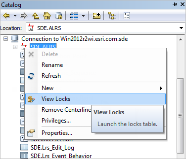 Open locks table using the Catalog window