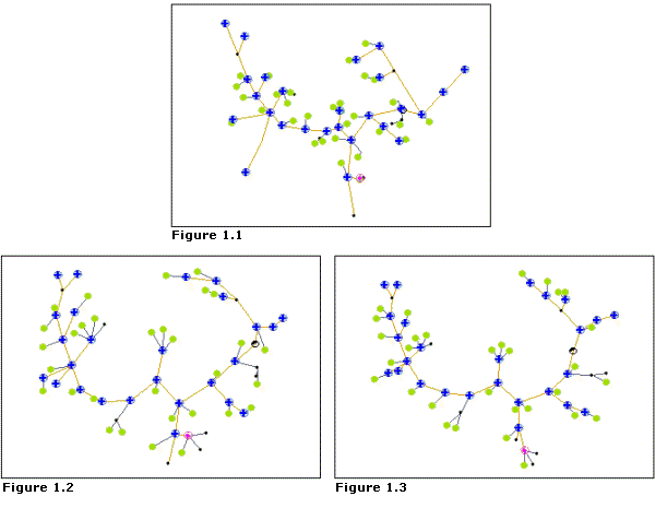 Force Directed—Number of iterations