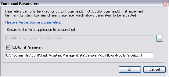 Execute Application command with Additional Parameters