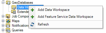 Data workspace options
