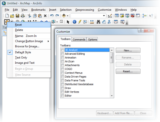 Customize dialog box