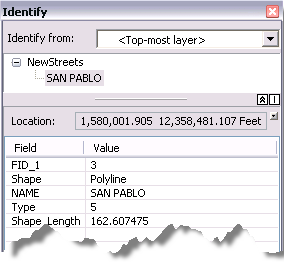 Result of identifying the target feature after the attribute transfer