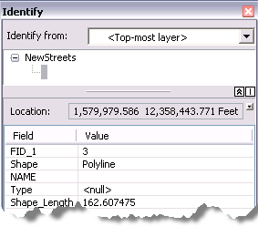 Result of identifying the target feature before the attribute transfer