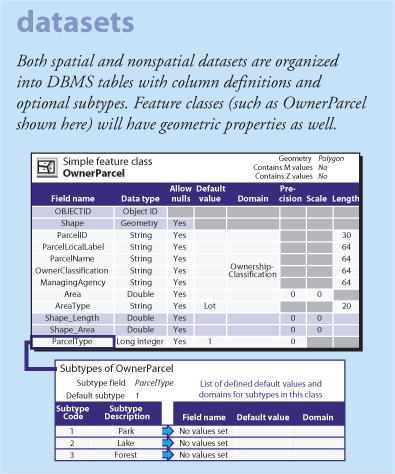 Dataset