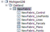 Parcel fabric feature classes and tables