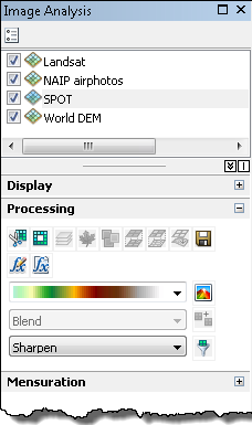 Processing section of the Image Analysis window