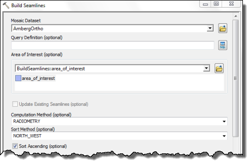 Build Seamlines tool