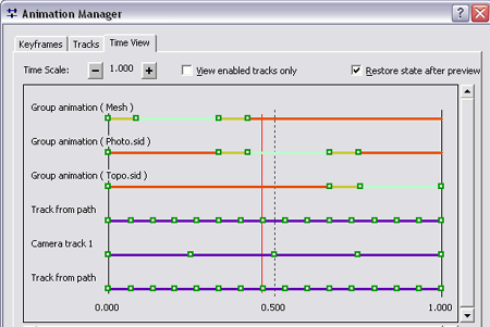 The Time View tab of the Animation Manager