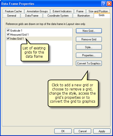 Data Frame Properties Grids Tab