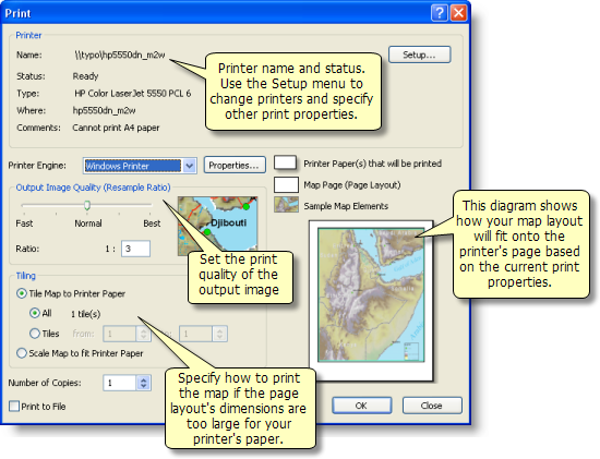 The Print dialog box in ArcMap