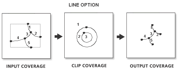 Line Clip illustration