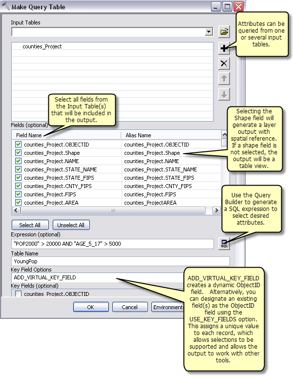 Examples of queries with the Make Query Table tool—ArcMap | Documentation