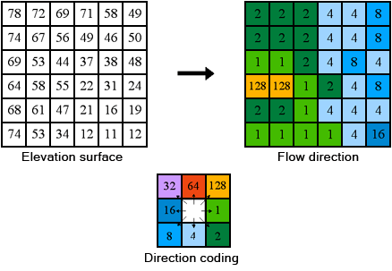 The coding of the direction of flow