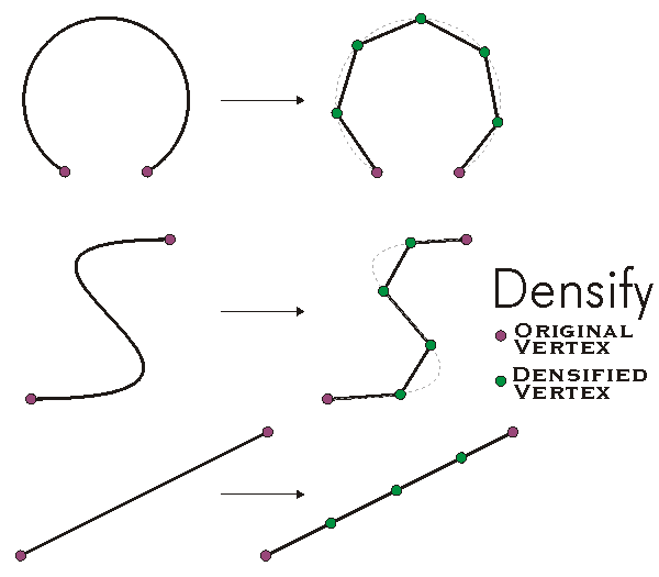 Polycurve Densify Example