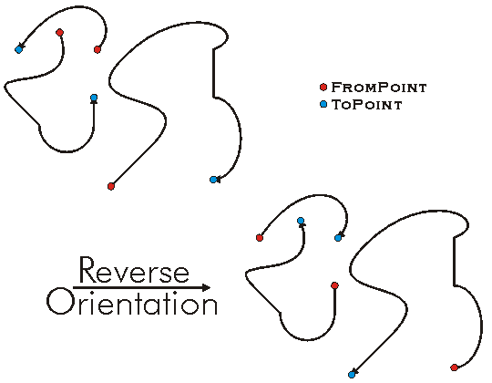 Reverse Orientation Example